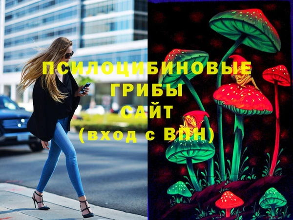 амф Няндома